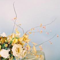 Wedding Sparrow wedding photo - Wedding Sparrow