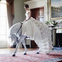 Wedding Ideas wedding photo - Wedding Ideas