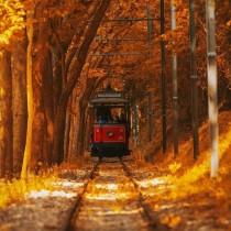 Best Places To Go wedding photo - Best Places To Go