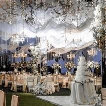 Wedding Dream wedding photo - Wedding Dream