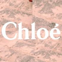 Chloé wedding photo - Chloé