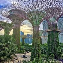 Worldplaces Tour wedding photo - Worldplaces Tour