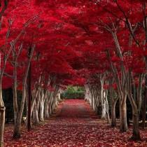 Best Places To Go wedding photo - Best Places To Go