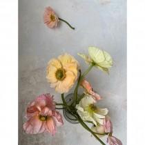 Poppies & Posies wedding photo - Poppies & Posies