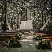 Wedding Dream wedding photo - Wedding Dream