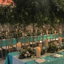 Amaryllis Inc. wedding photo - Amaryllis Inc.