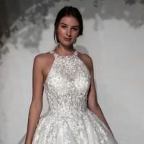 Wedding Dream wedding photo - Wedding Dream