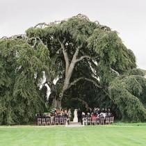 OneFabDay wedding photo - OneFabDay