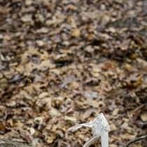 Badgley Mischka wedding photo - Badgley Mischka