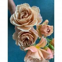 Poppies & Posies wedding photo - Poppies & Posies
