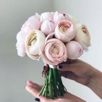Wedding Dream wedding photo - Wedding Dream