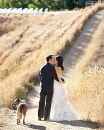 wedding photo - Mit Haustiere