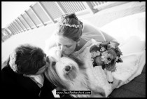 wedding photo - مع الحيوانات الأليفة
