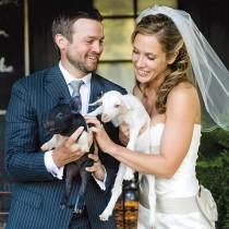 wedding photo - Avec les animaux de compagnie