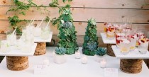 wedding photo - Décor de mariage - Succulents