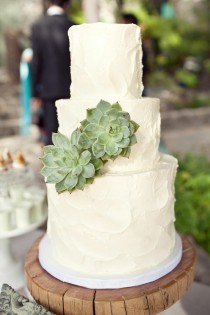 wedding photo - Décor de mariage - Succulents