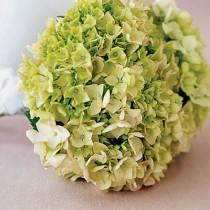 wedding photo - Pale Green Wedding Color Palettes