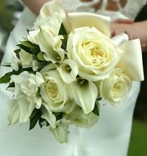 wedding photo -  Mellow Yellow Wedding Color Palettes 
