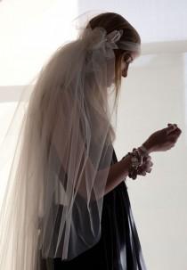 wedding photo - The Veil