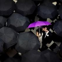 Wedding So Pretty wedding photo - Wedding So Pretty